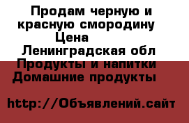 Продам черную и красную смородину › Цена ­ 180 - Ленинградская обл. Продукты и напитки » Домашние продукты   
